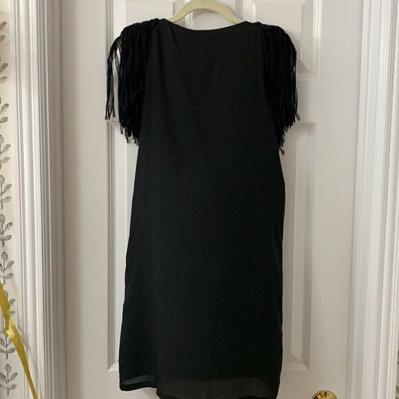 Easley Size Small beaded v neck dress with fringed shoulder detail - Picture 2 of 10